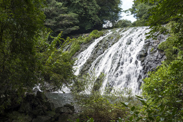 森に囲まれた鹿目の滝（平滝）