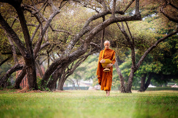 Thailand Buddhist monks walk collecting alms is traditional of religion buddhism on faith thai...