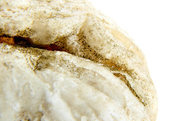 Dangerous food. Old spoiled cookie covered with green mold. Selective focus