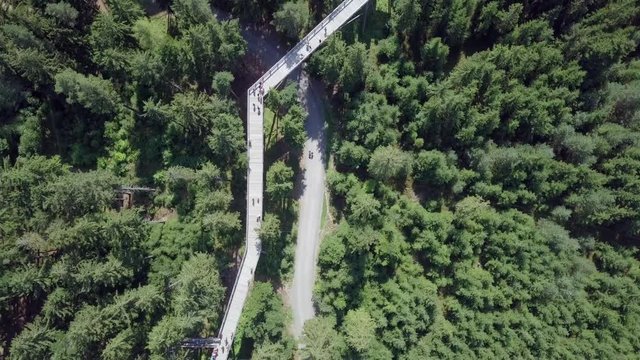 Treetop walkway - Aerial footage of the structure surrounded by green trees, located in south Bohemia, Czech Republic.