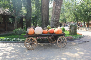 golden autumn, large different pumpkins, Different varieties of pumpkins in wooden cart