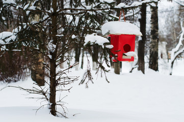 birdhouse feeder on a tree in the winter forest