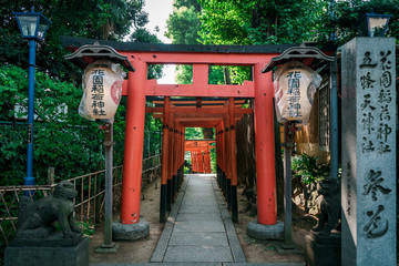 Red Japanese Torii pillars surrounded by trees in Ueno Park, Tokyo, Japan