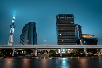 View of Tokyo cityscape with business buildings and Tokyo Skytree  in background and river in the foreground during night, Tokyo, Japan