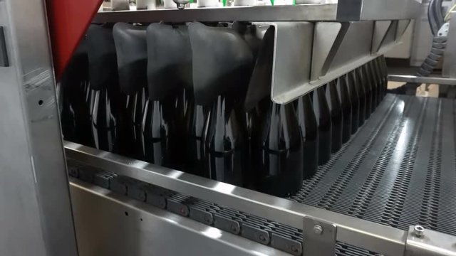 Feeding bottles to the conveyor for further bottling of wine