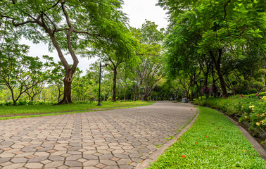 Walking or Running path way in park.