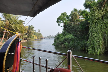 balade rizière en inde