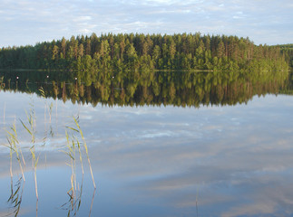 Forest lake. Traditional Finnish and Scandinavian view.