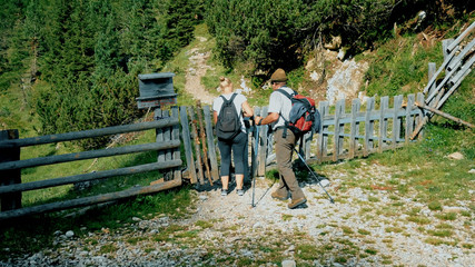 hikers arrive by foot near a hedge in the dolomites