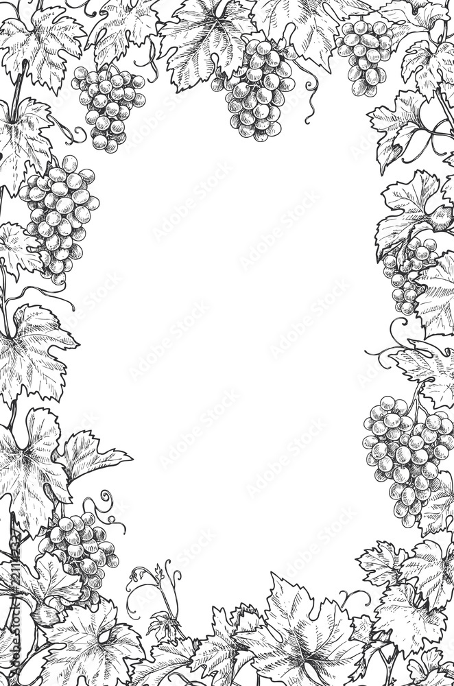 Wall mural monochrome grape branches vertical frame