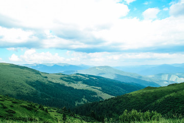 Naklejka na ściany i meble The summer green Carpathian mountains in Ukraine. The sky is over the mountains. Atmospheric landscapes while traveling on a jeep. Offroad expedition