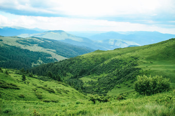 Fototapeta premium The summer green Carpathian mountains in Ukraine. The sky is over the mountains. Atmospheric landscapes while traveling on a jeep. Offroad expedition