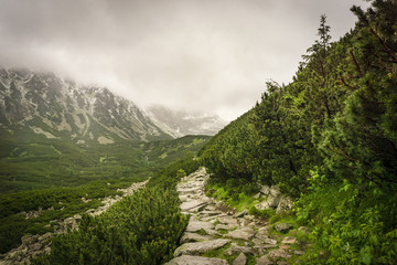 Mountain trail in Gasienicowa Valley in June. Tatra Mountains. Poland.