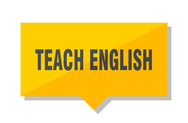 teach english price tag
