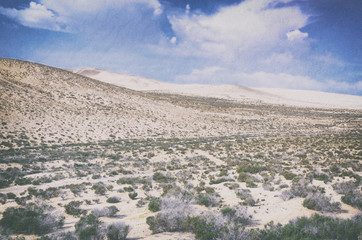 Fototapeta na wymiar fuerteventura desert