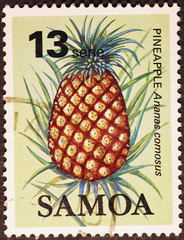 Pineapple on samoan postage stamp