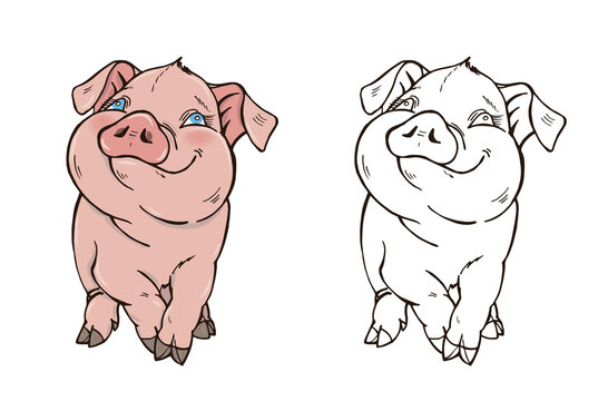 Cute pig in color and black and white, coloring page, vector illustration
