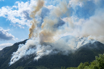 Big fire in a mountain forest with a lot of smoke