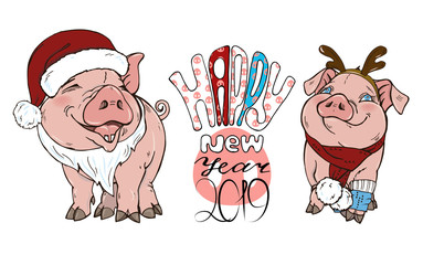 Pigs in Christmas costumes