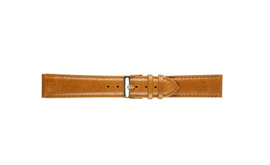 The watchstrap isolated