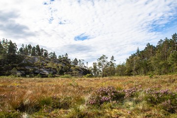 Aufstieg zum Preikestolen