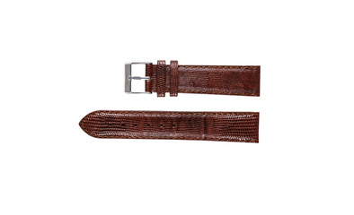 The watchstrap isolated