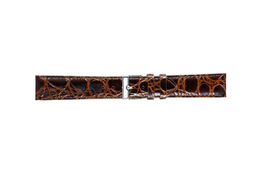 The watchstrap isolated