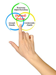 Creating  Shared Value.