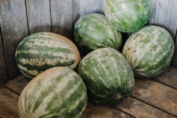 Watermelon