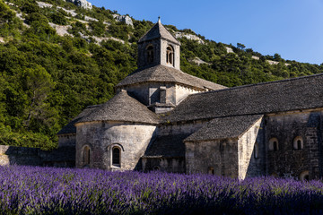 historic Abbey of Senanque and blooming lavender flowers, Gordes, Luberon, Provence