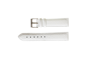 The watchstrap isolated