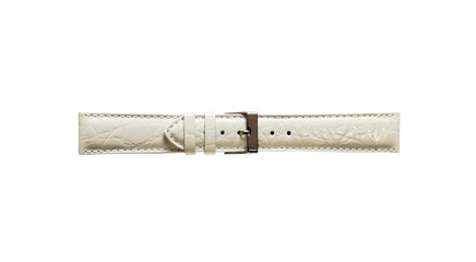 The watchstrap isolated