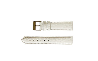 The watchstrap isolated