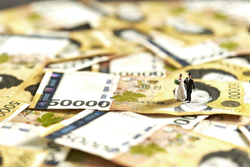 Miniature couple with Korean won banknotes 