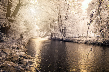 Kalte Winterlandschaft am Flussufer