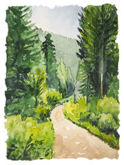 Watercolor painting with wild forest and trail. Inspiration for hiking and travel. Vertical postcard with landscape.