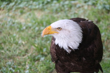Madrid zoo