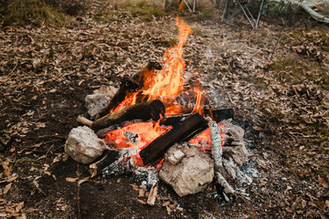 Campfire and camping in a forest