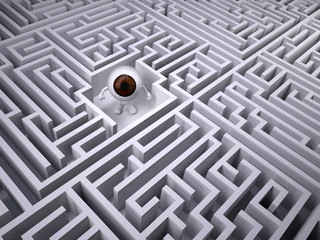 Brown eyeball inside the labyrinth maze