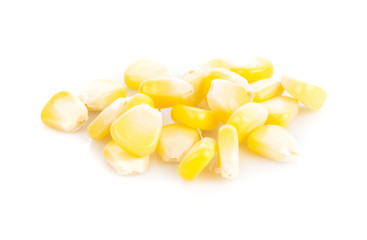 Fresh corn isolated on white background