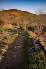Auf dem Jakobsweg in Galizien, richtung Triacastela