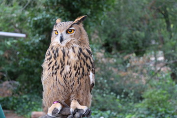 Madrid zoo