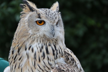 Madrid zoo