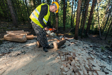 Lumberjack wearing safety equipment and working in forest with chainsaw