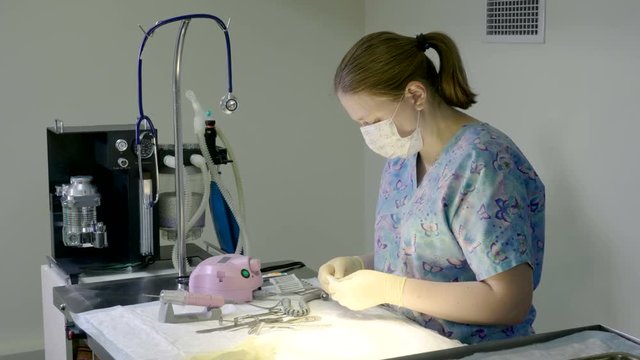 A veterinary surgeon preparing for surgery in the operating room of the animal hospital. 4K