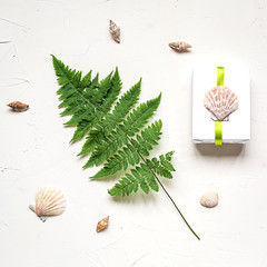 Summer holiday flat lay with fern,seashells