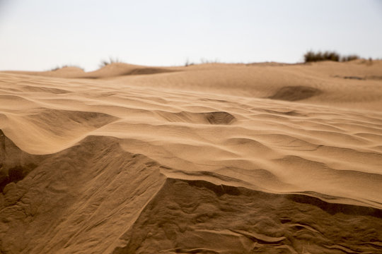  Dunes of the desert.  