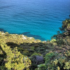 Ogliastra Castiadas Villasimius Costa Rei Rey