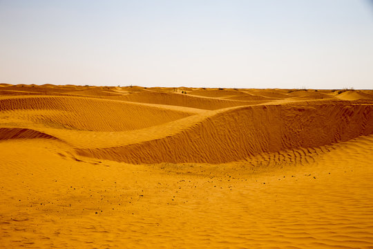  Dunes of the desert.  