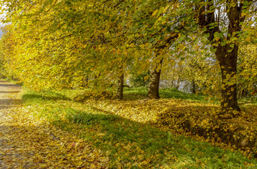 Golden autumn in the village of Ust-Izhora, Leningrad region.  The Bank of the river Neva.